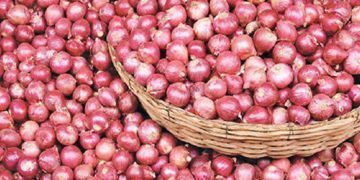 পেঁয়াজের আমদানি অনেক বেশি